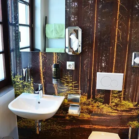 Inn Zur Traube Buehl (Rastatt)