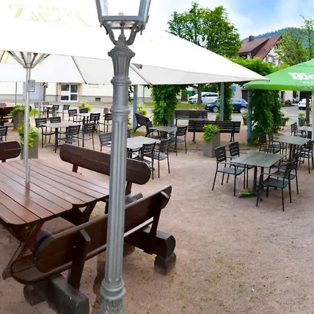 Gasthof Zur Traube Bühl
